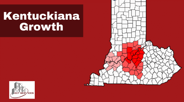 Kentuckiana Growth graphic